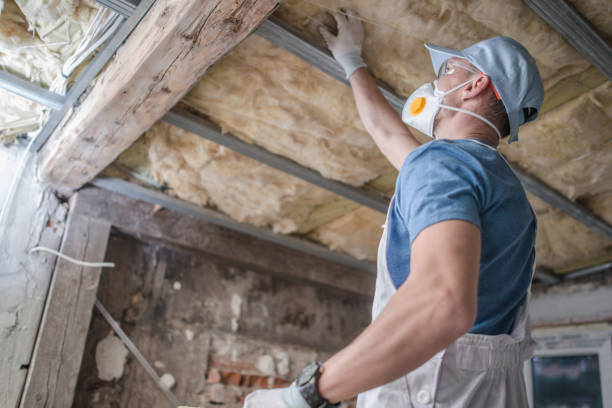 Types of Insulation We Offer in Taneytown, MD