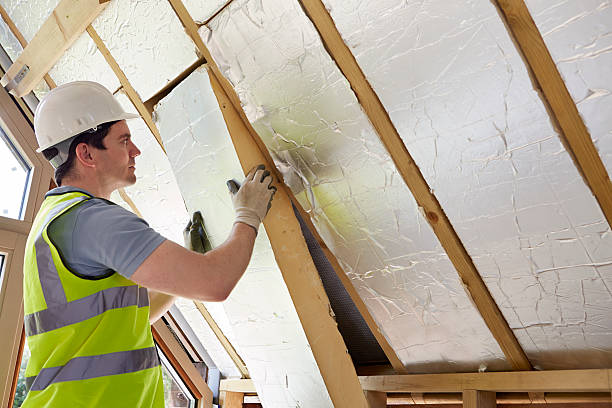 Best Specialized Insulation Services in Taneytown, MD