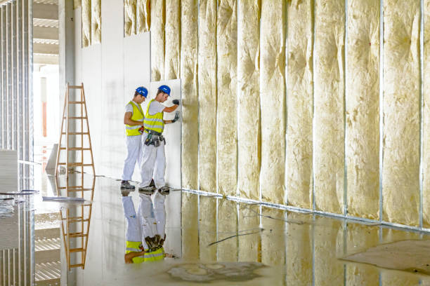 Best Cellulose Insulation in Taneytown, MD